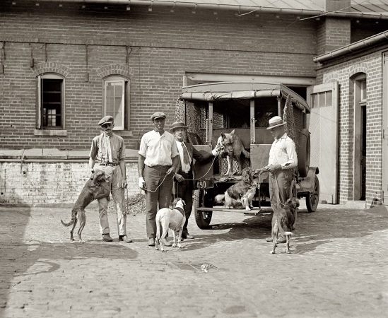 Photo showing: Animal Control -- Washington, D.C., 1924. Dog catchers.